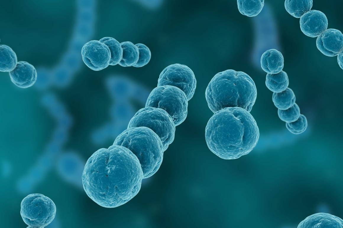 Cells magnified and colored teal